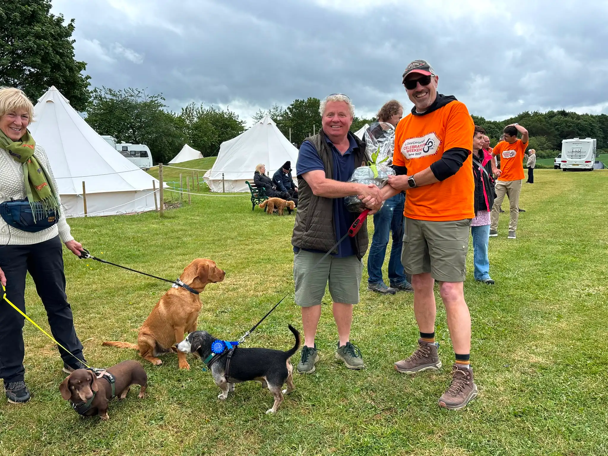 Dog Show 43