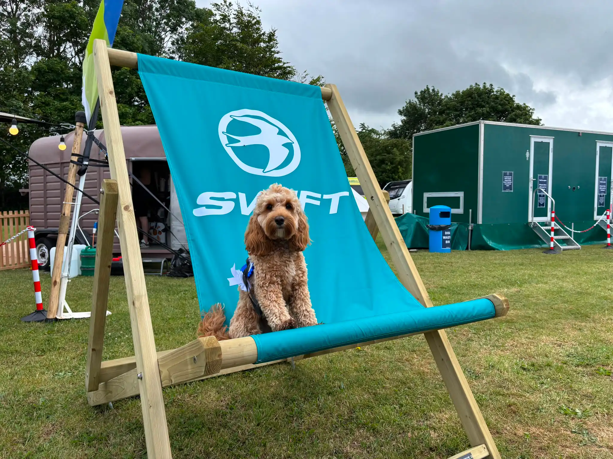 Dog Show 49