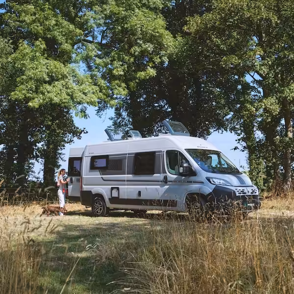 Swift Campervans Letterbox Mobile 2027